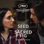 The Seed of the Sacred Fig