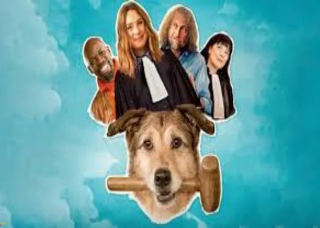 Dog on Trial